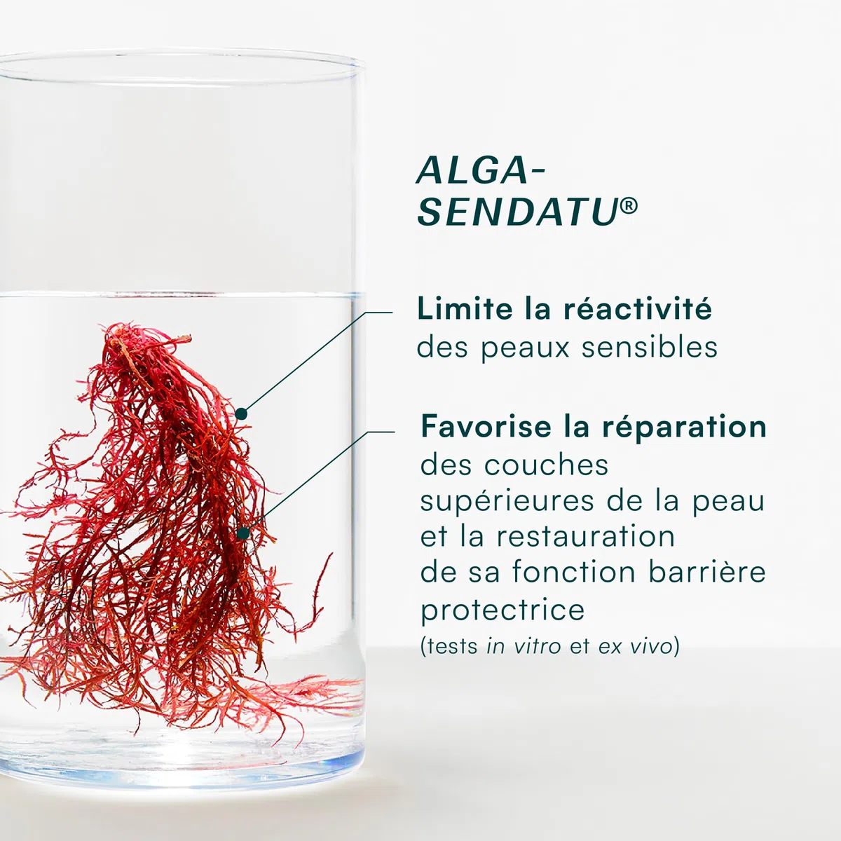Baume Allaitement Bio Laboratoires de Biarritz